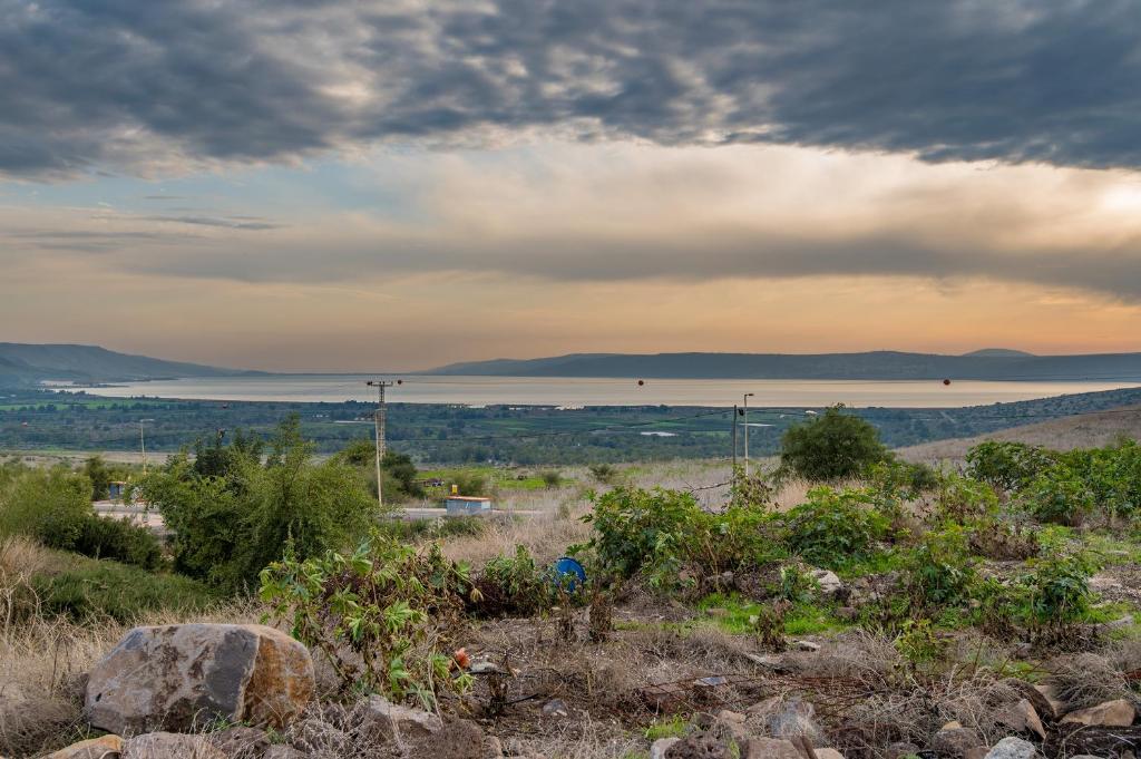 Shmulik's Resort photo 1