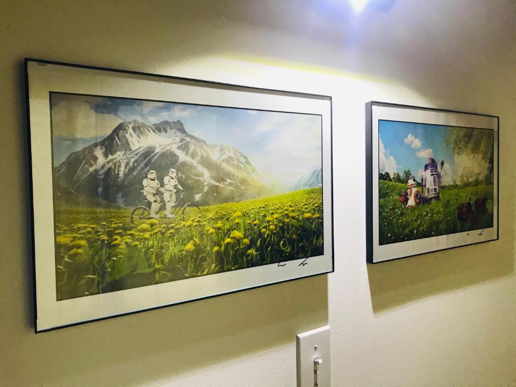 Crash Pad Adventure Hostel photo 4