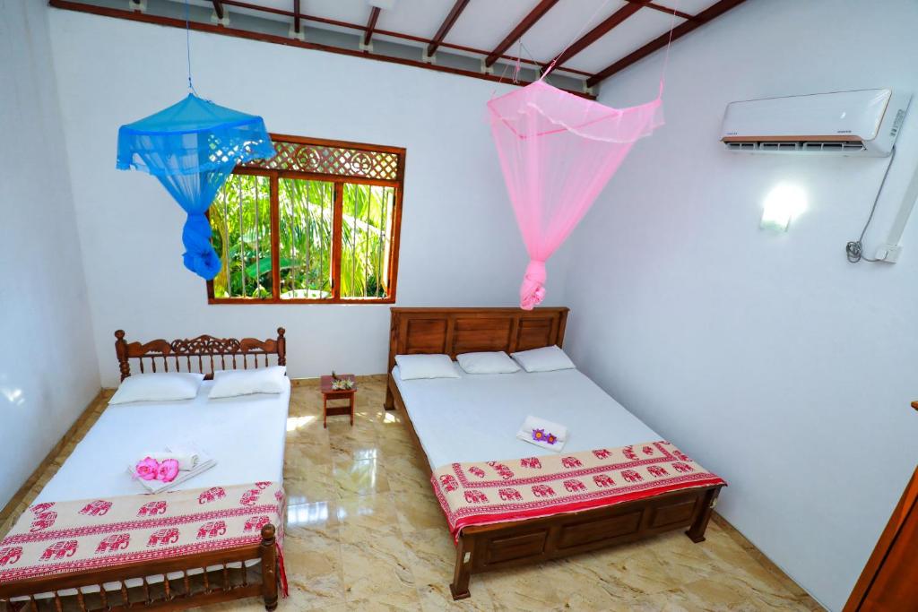 Tropical Paradise photo 3