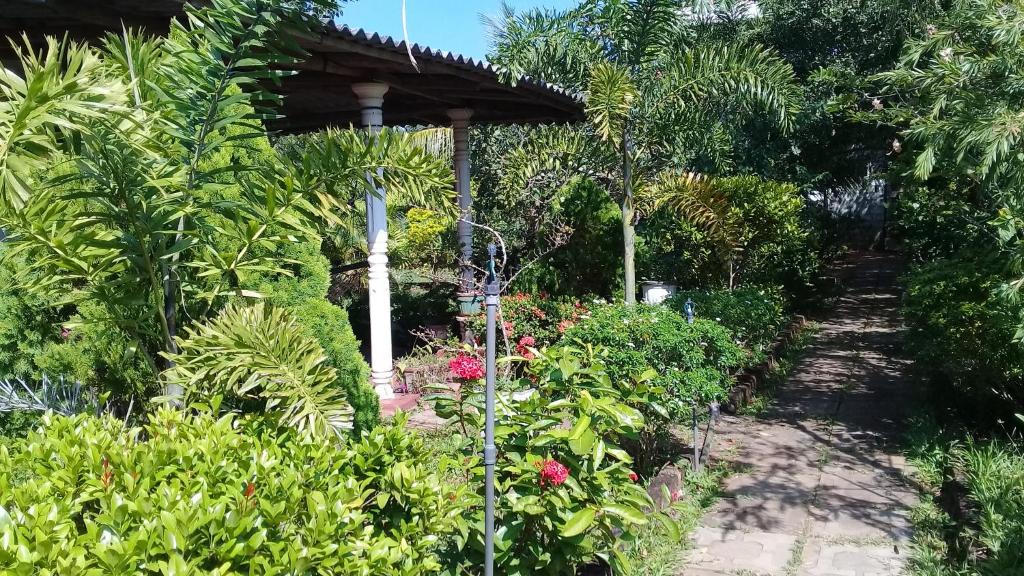 Village Garden Inn photo 4