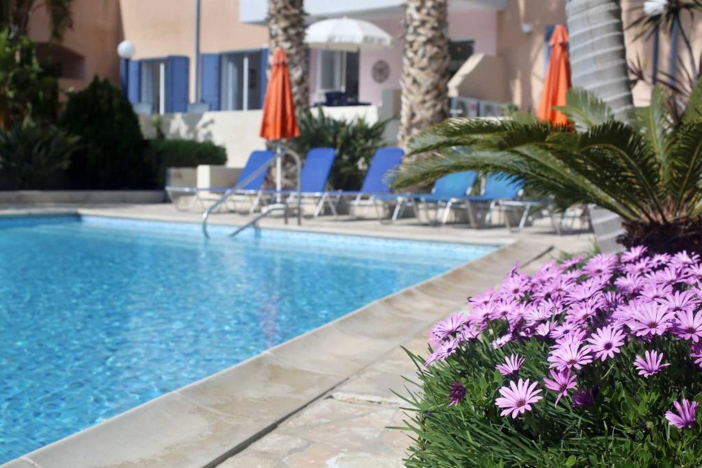 Maya's Apartment - Complimentary Paphos Airport Transport photo 4