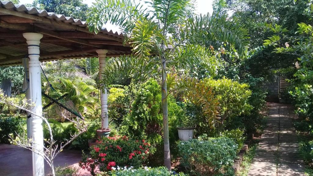Village Garden Inn photo 3