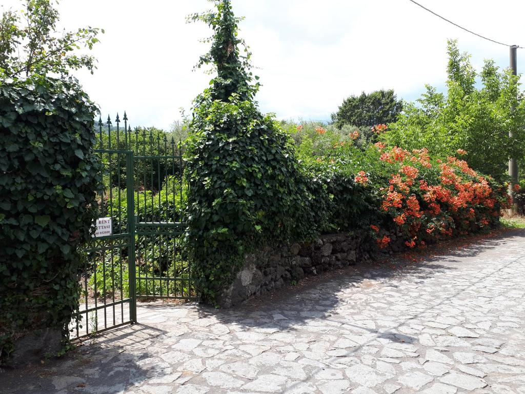 Villa Vecchio photo 4