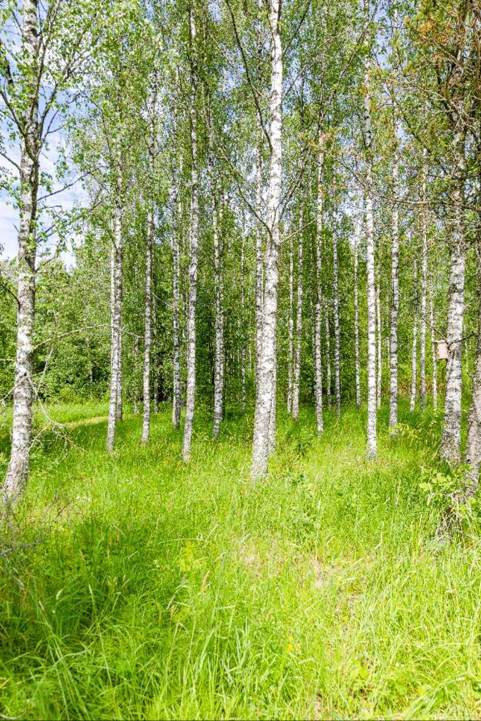 Poppelstrand Nuuksio, Pet friendly guest apartment - Tap to explore photos