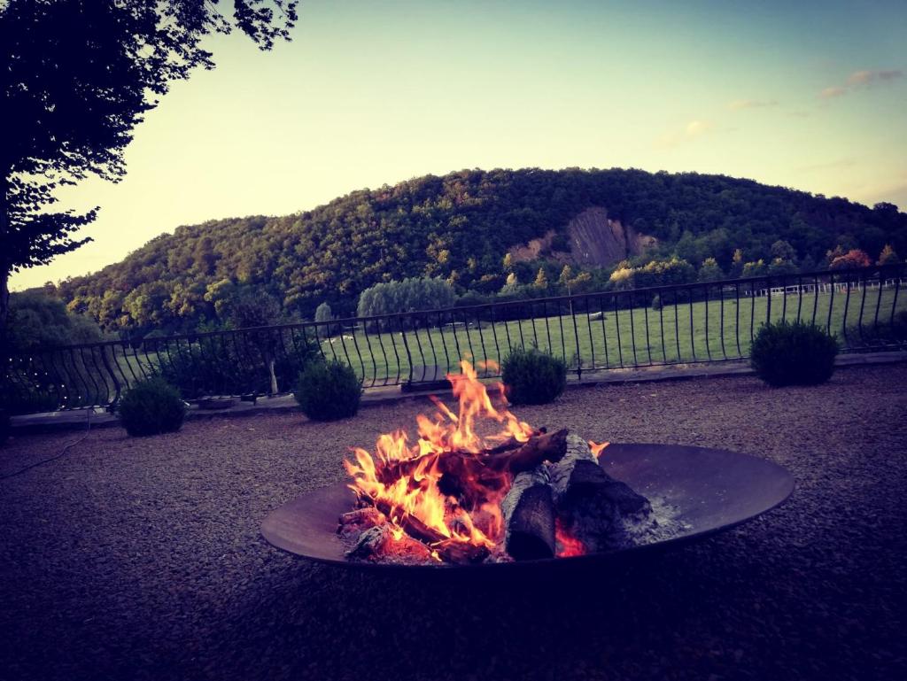 Château Martin photo 4