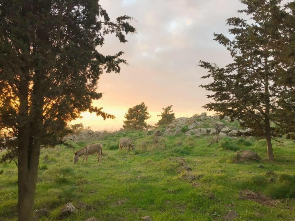 NATURA-eco farm photo 1