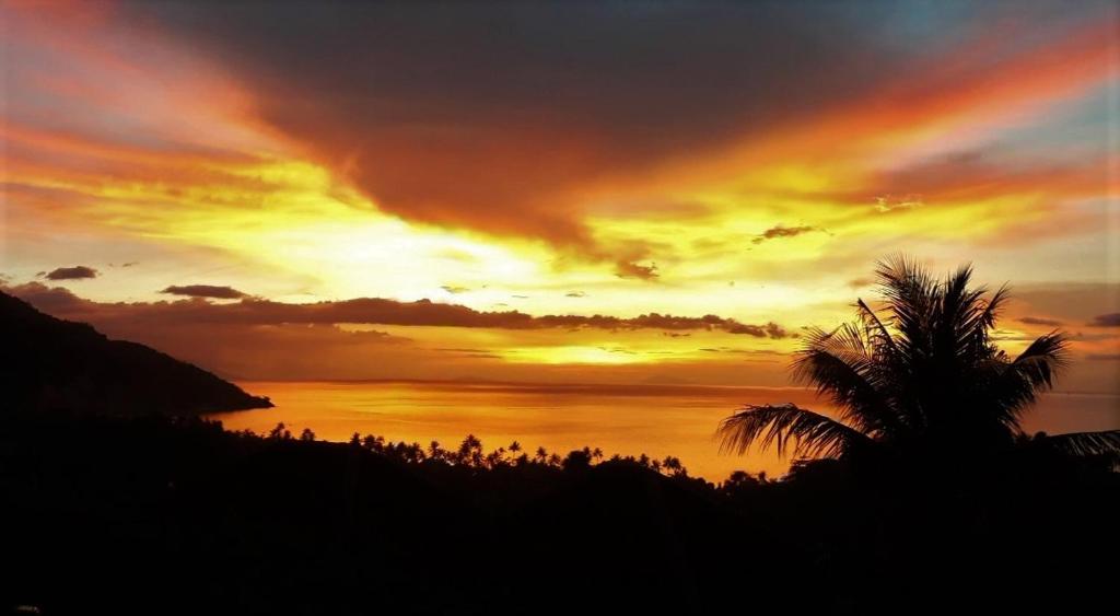 Tribal Hills Mountain Resort photo 4