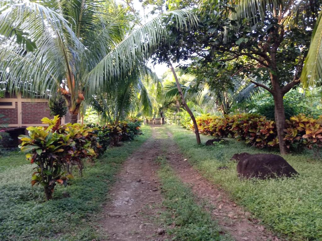 Finca Montania Sagrada photo 1