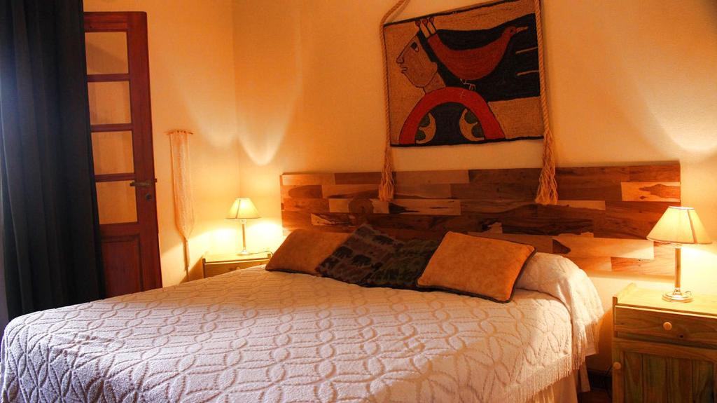 Posada San Andres photo 4