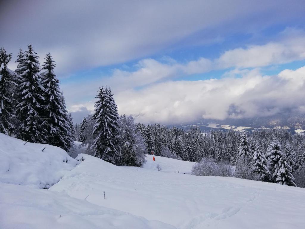 Ferienwohnung mit Blick auf die Buchensteinwand photo 2