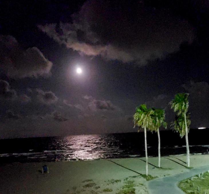 Spectacular Beach View! image