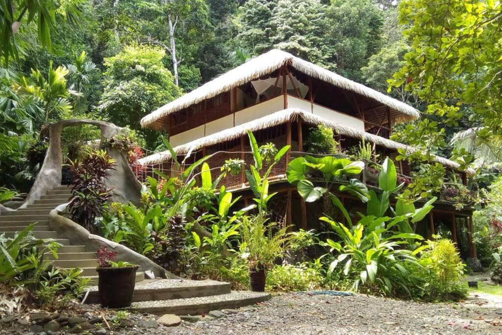 Casa Vida Verde photo 1