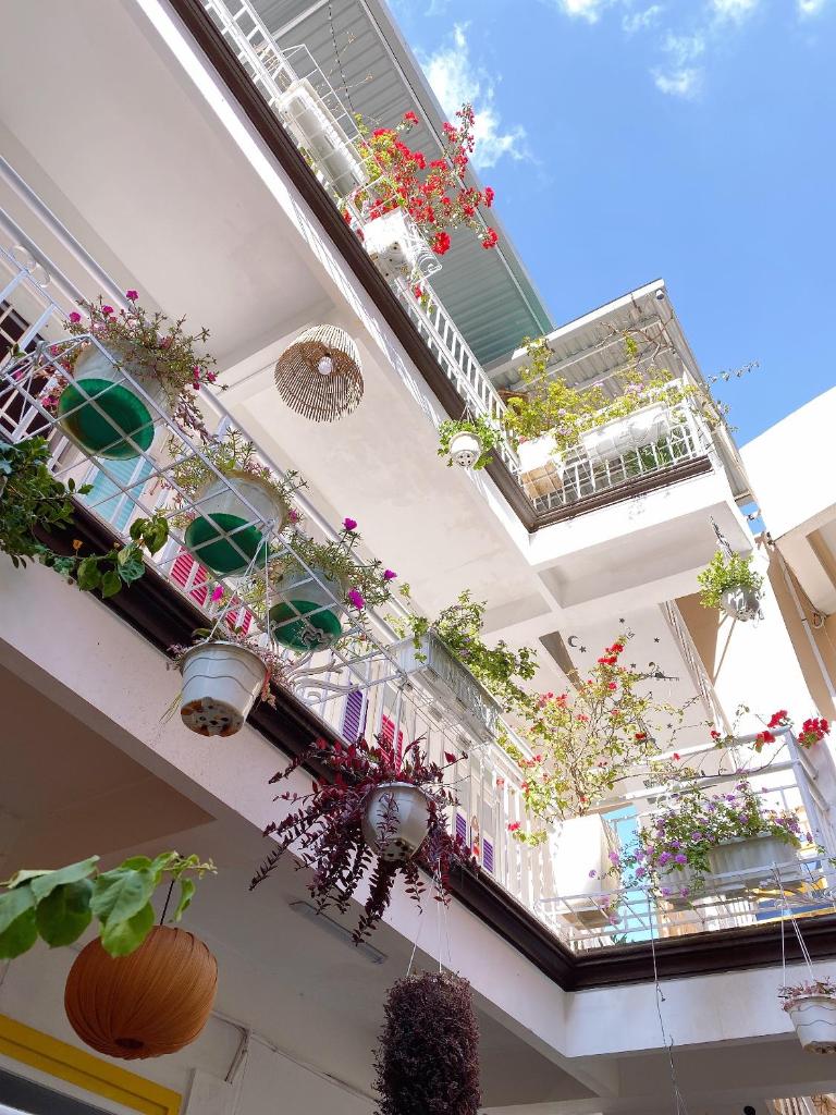 Suri's House Homestay