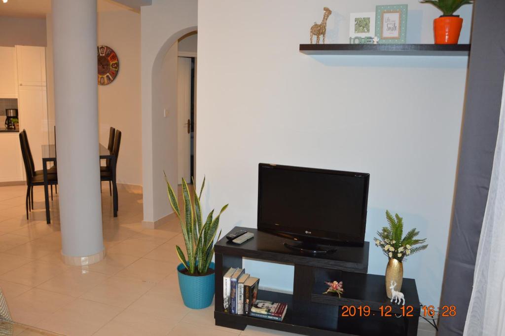 Luxury Apartment photo 3