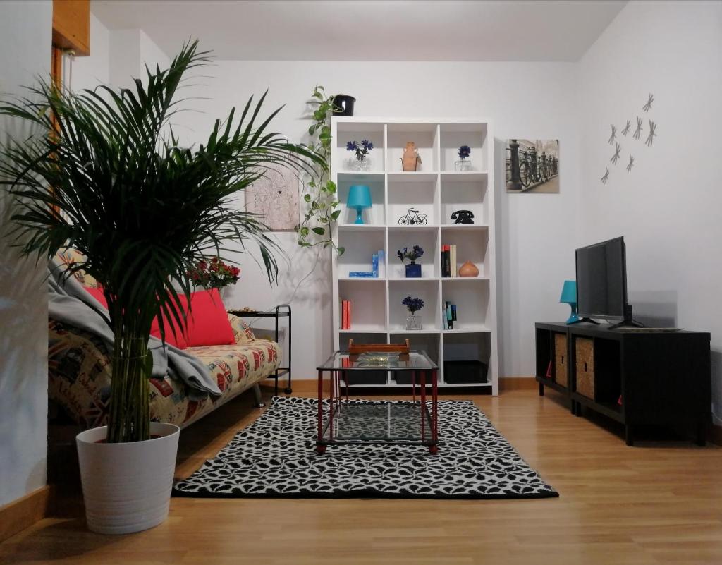 • La Antigua Apartamento • photo 1