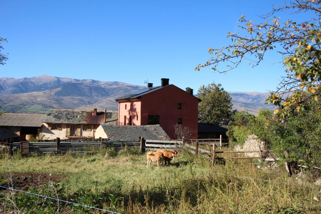 Cal Barné, eco-apartament a Das amb jardí