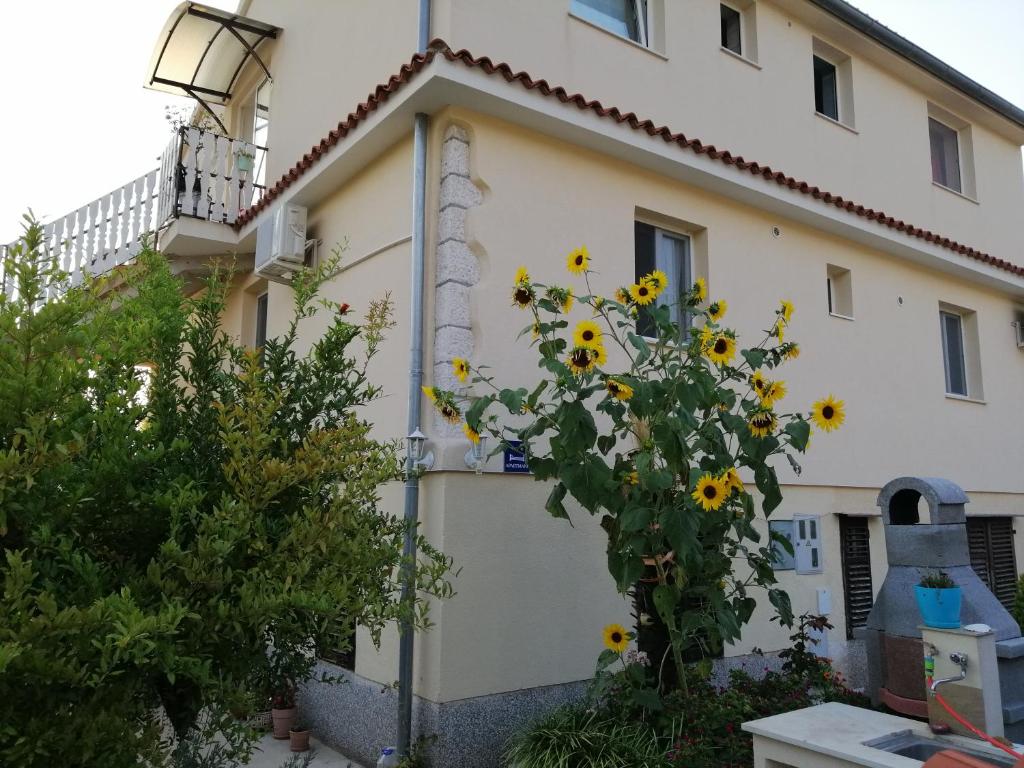 Apartments Martina photo 1