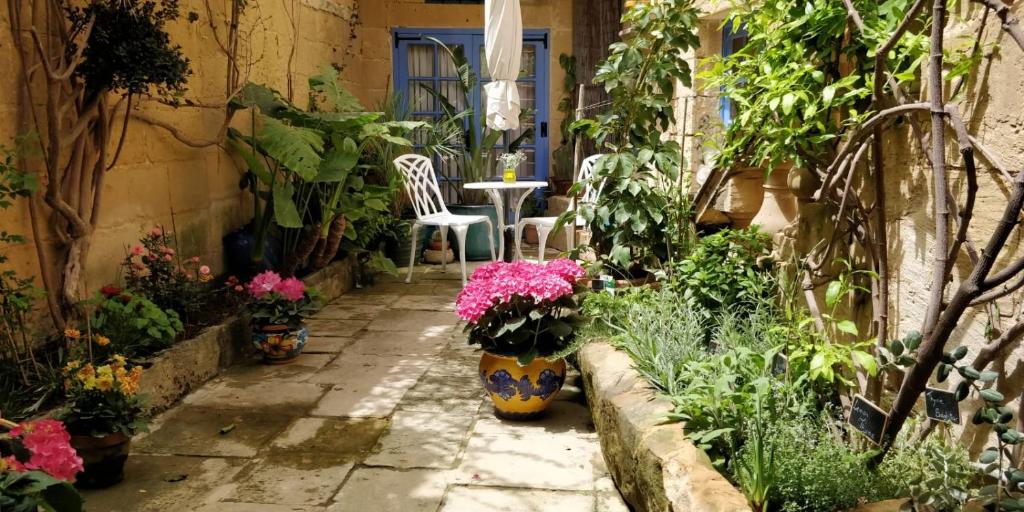 Il Kiostro photo 3