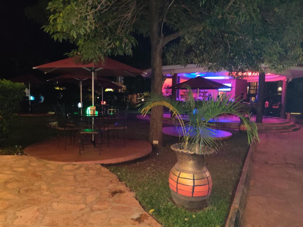 Nile Village Hotel & Spa photo 2