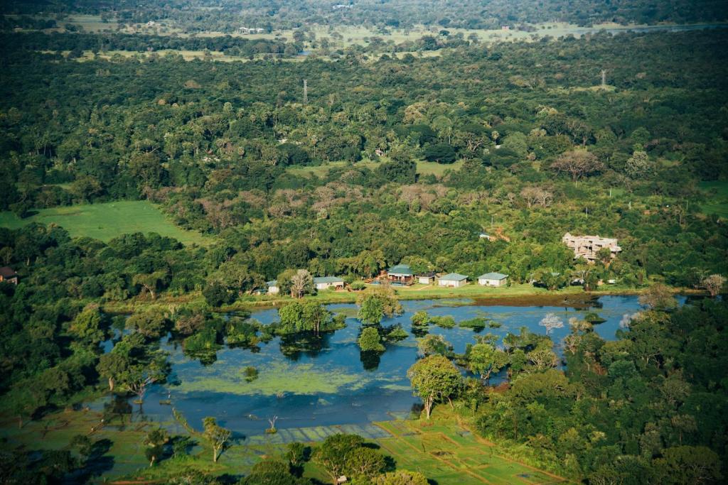 Sigiriya King's Resort photo 2