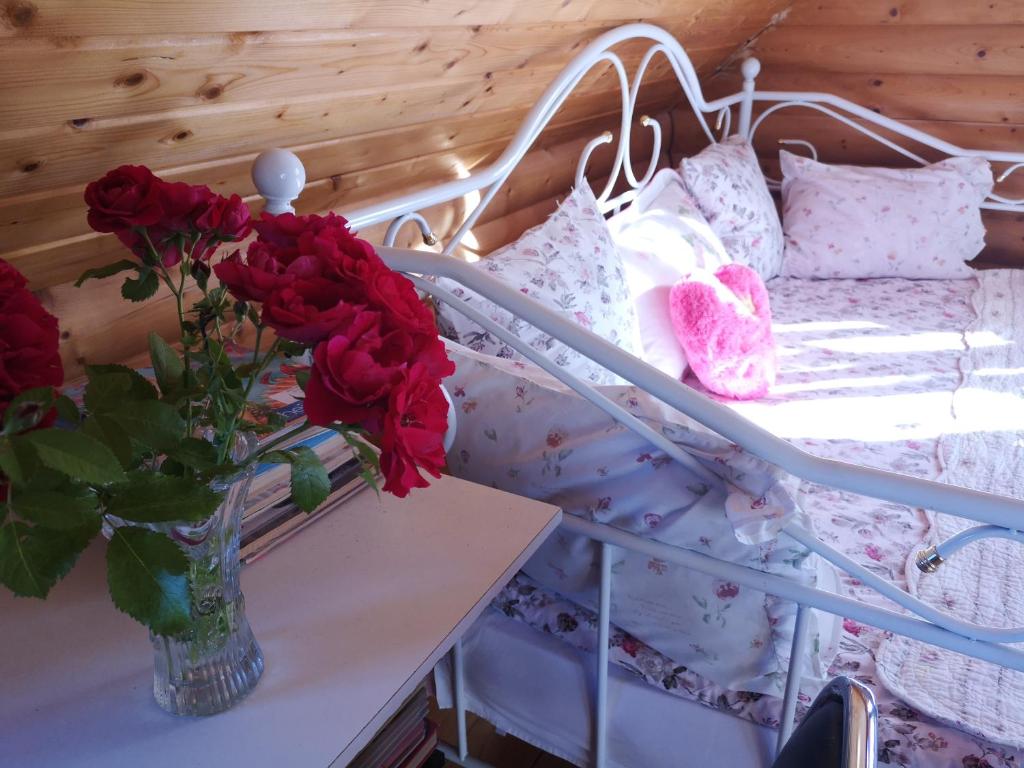 DvīņuMājas photo 1