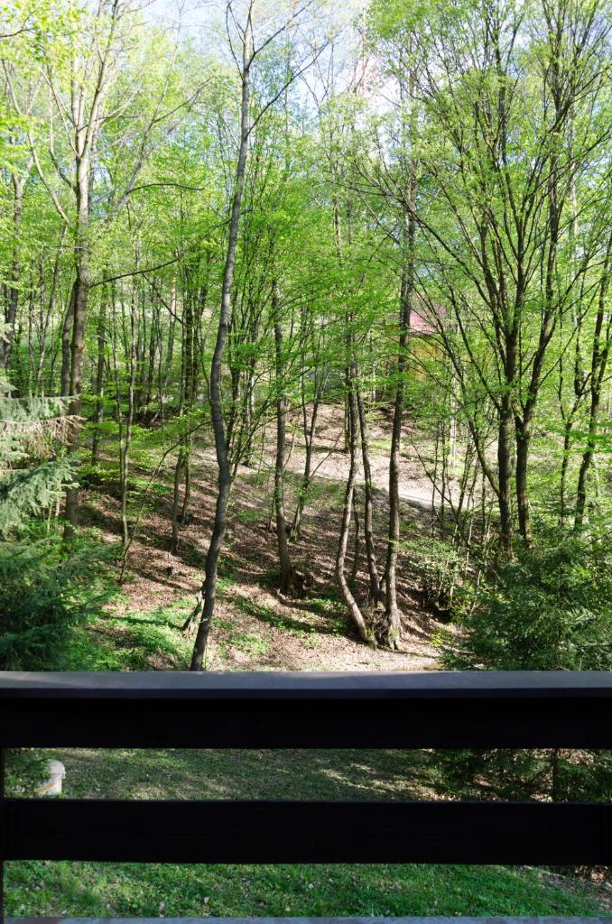 Summer house near lake photo 2