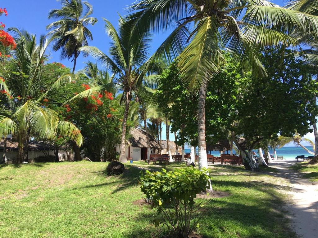Coconut Village Beach Resort photo 2