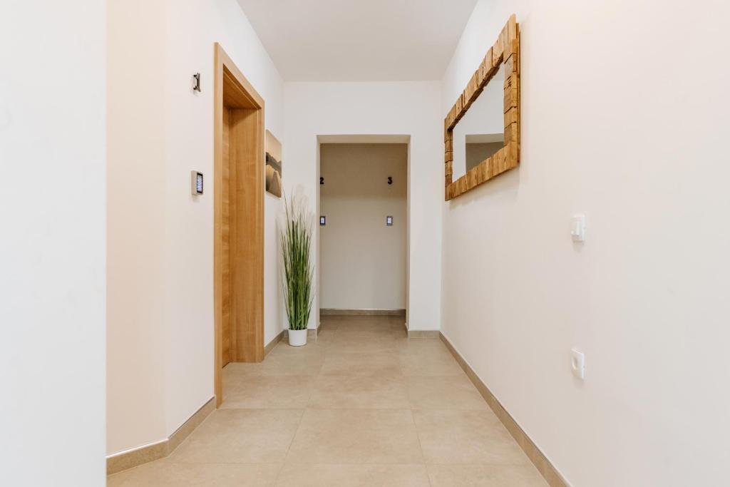Rooms VERDE photo 2
