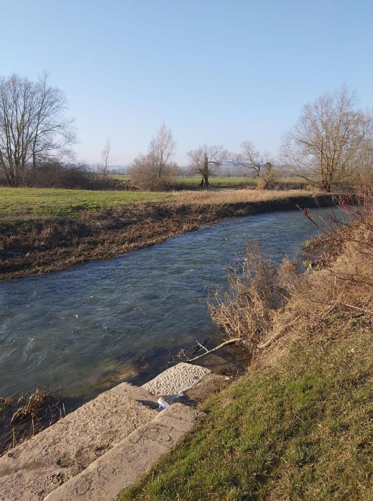 La Tanière photo 2