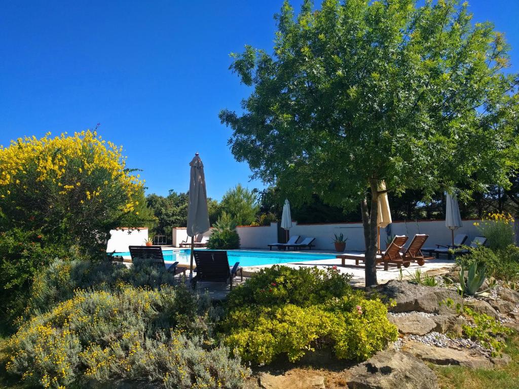 Domaine de Palats photo 3