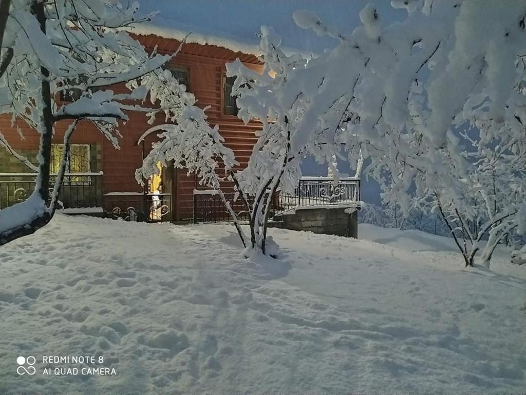 Luka House photo 3