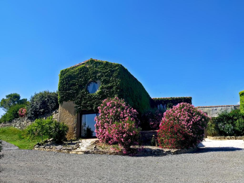 Domaine de Palats photo 1