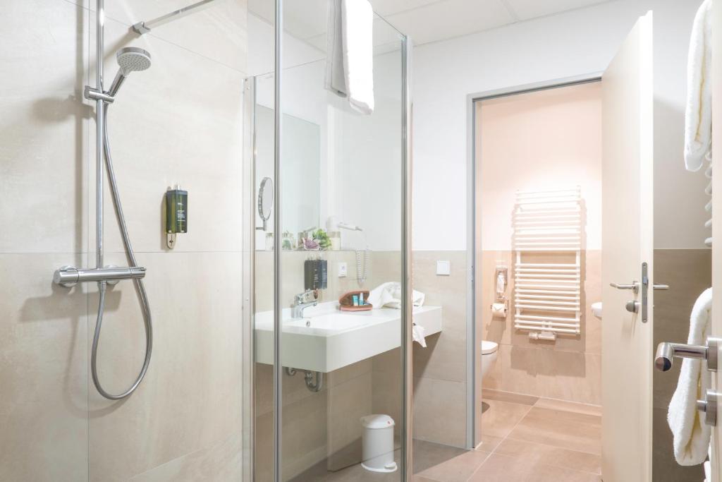 Двухместный (Двухместный номер с 1 кроватью), Mythenresort Heimdall