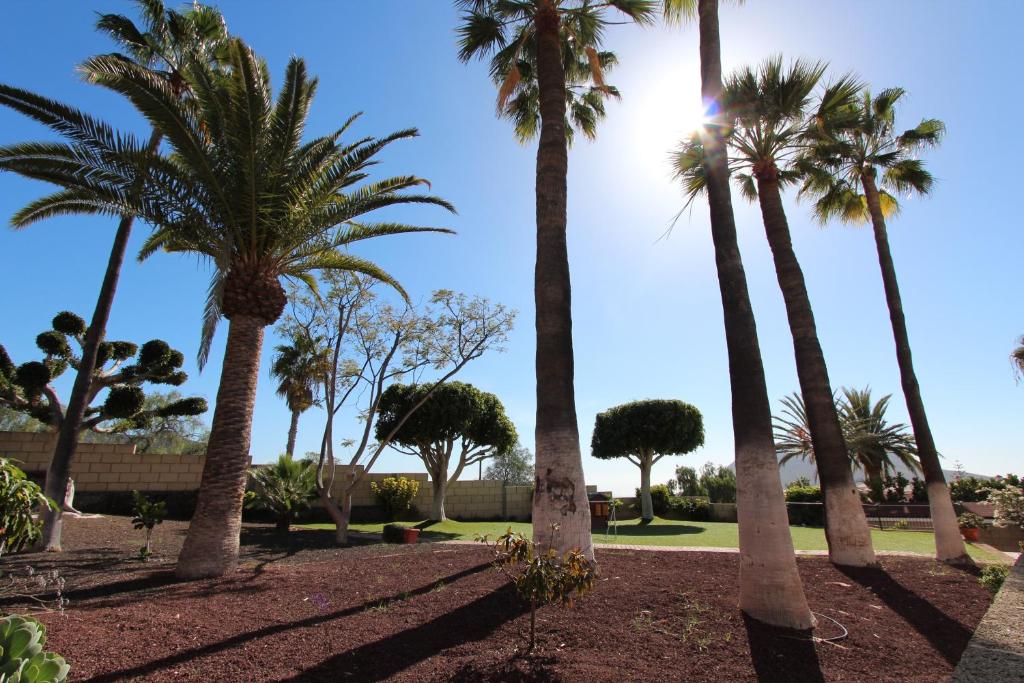 ViVaTenerife - Immense villa, unique and exclusive photo 3