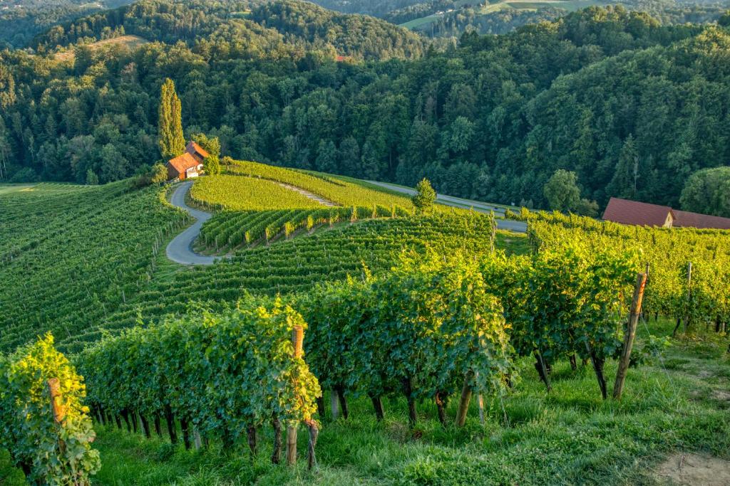 Turistična kmetija Dreisiebner
