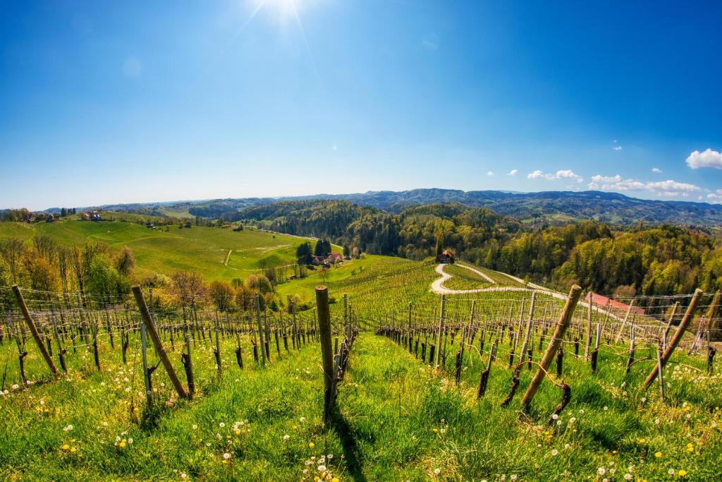 Turistična kmetija Dreisiebner photo 1