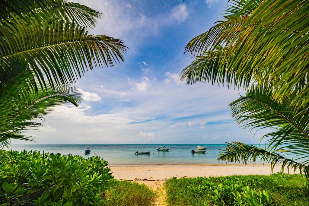 Lou Lou Bungalow photo 2