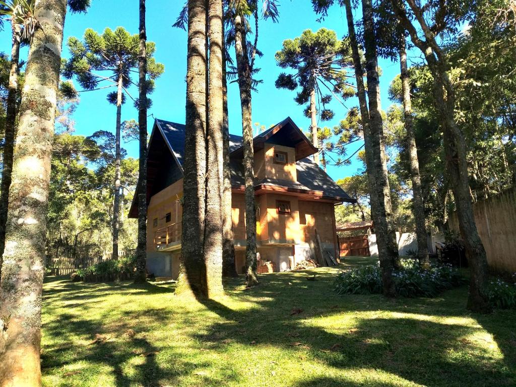 Bosque das Araucárias