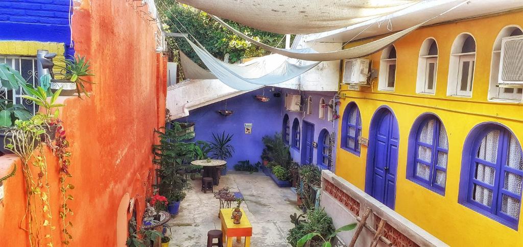 Riad Lola photo 4