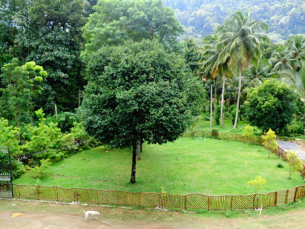 Xotic Resort photo 3