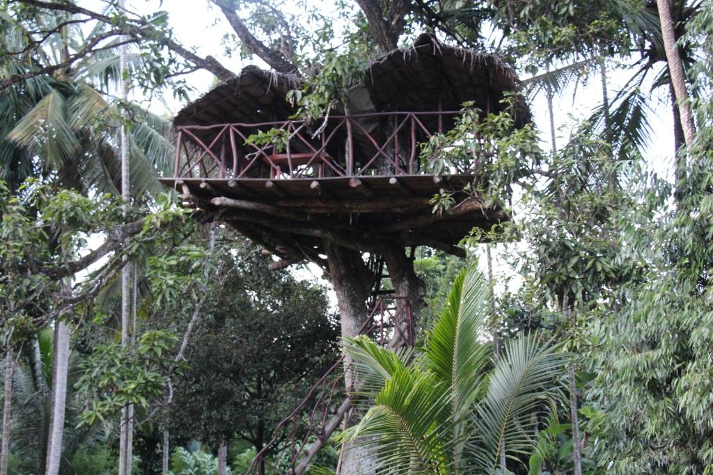 Xotic Resort photo 2