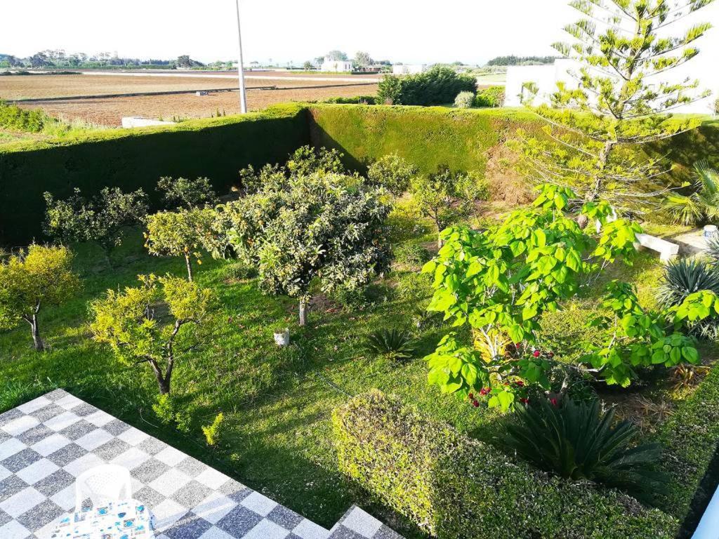 Incantevole Villa Maddalena a Otranto, Salento 8/10 posti photo 3
