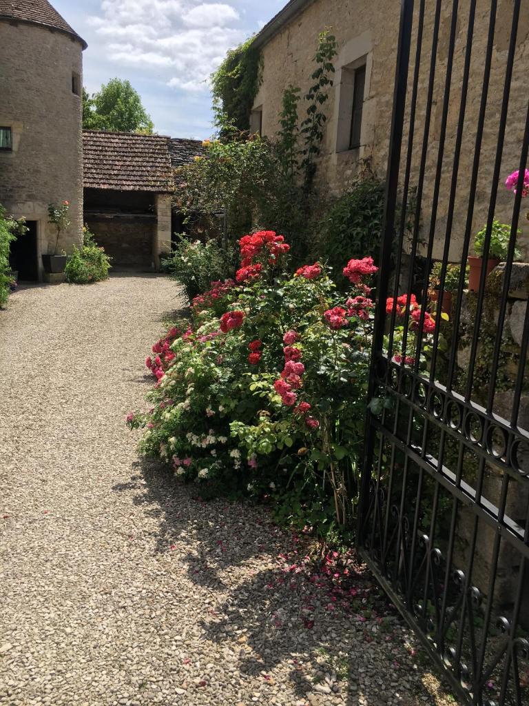 LES CHAMBRES DE ROUGEMONT photo 3