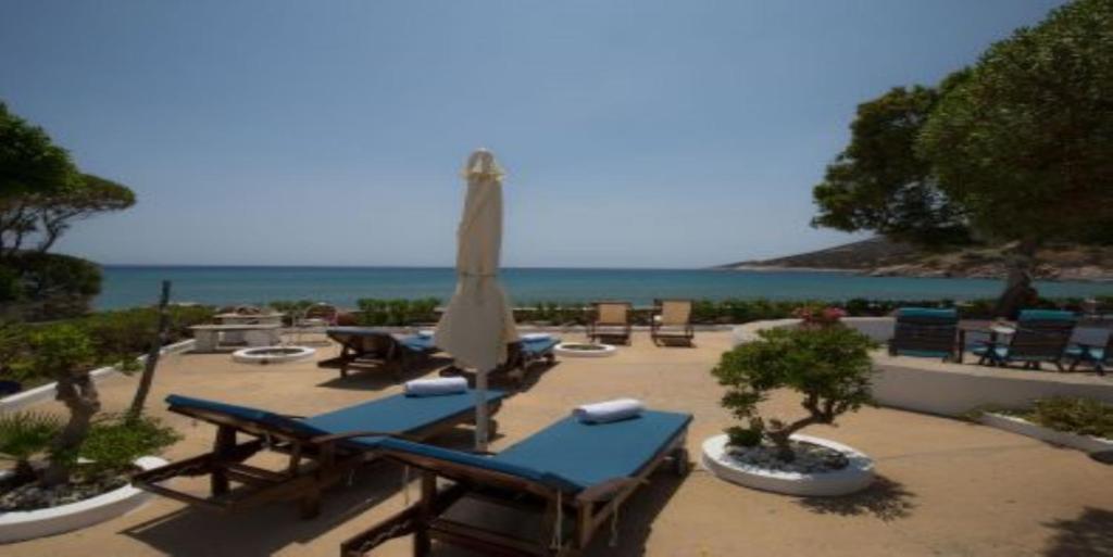 Pension Ageliki Sifnos photo 2