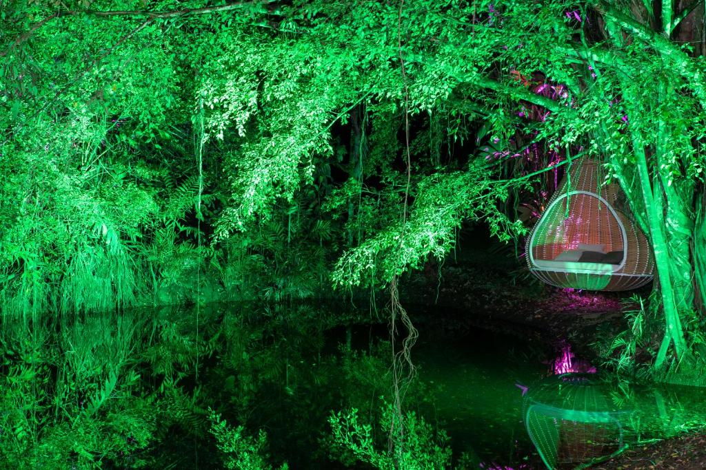 Noah's Forest Hotel by Tifakara photo 1