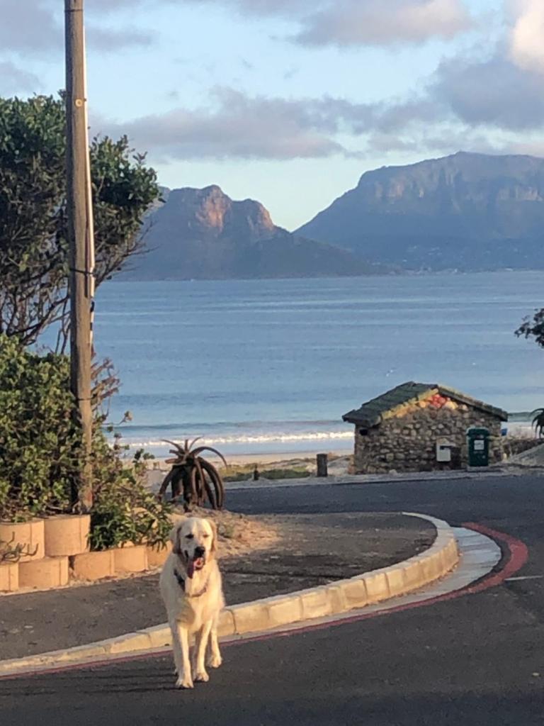 Kommetjie Heaven photo 2