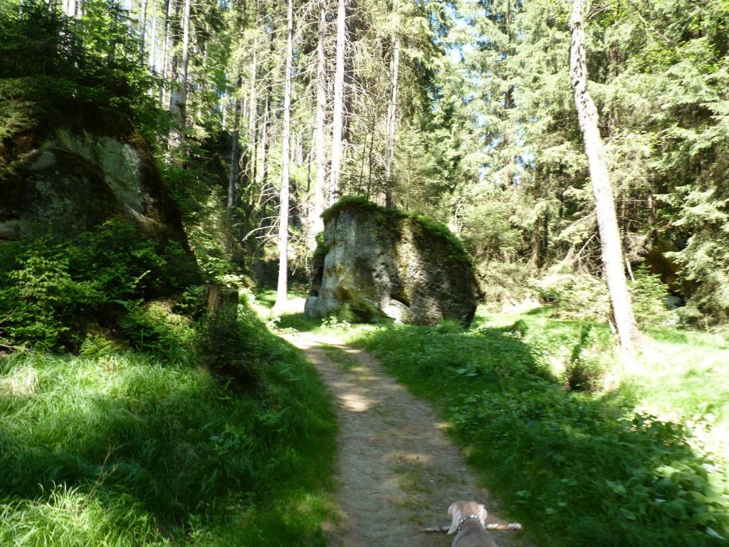 Ein Platz für Ruhe und Naturgenuss photo 4