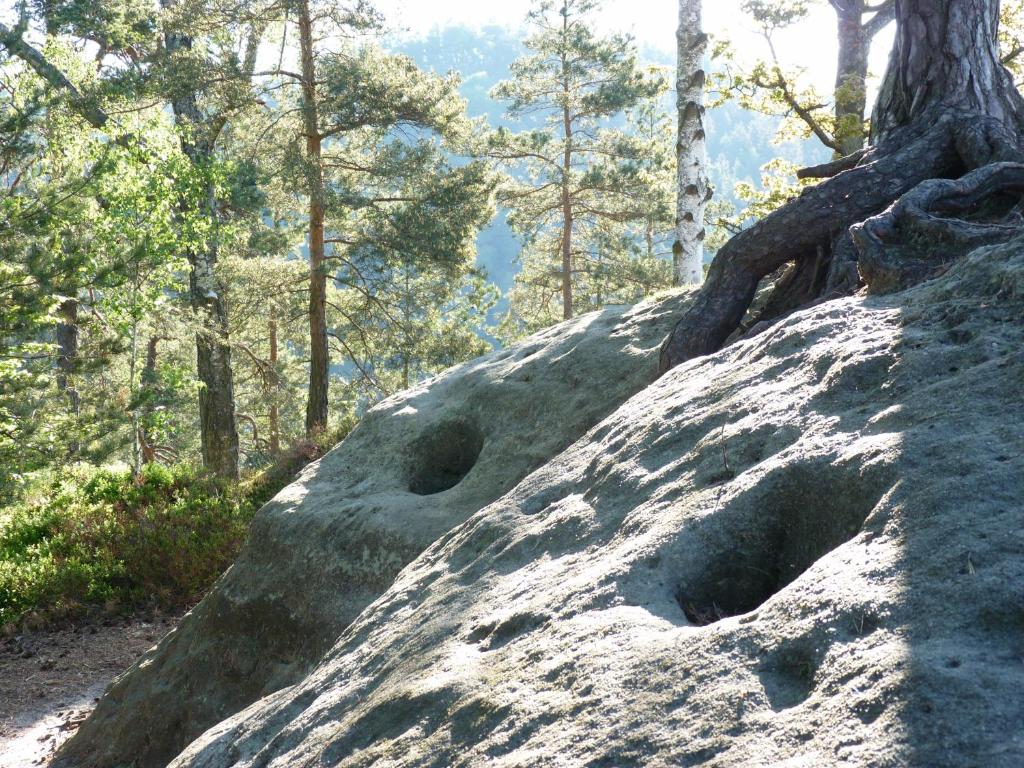 Ein Platz für Ruhe und Naturgenuss photo 3