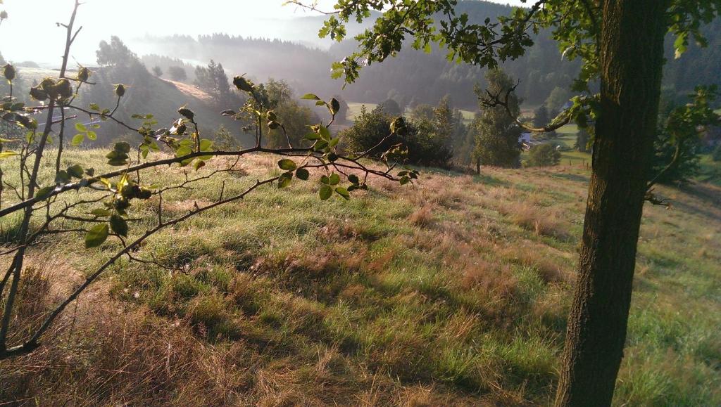 Ein Platz für Ruhe und Naturgenuss photo 2