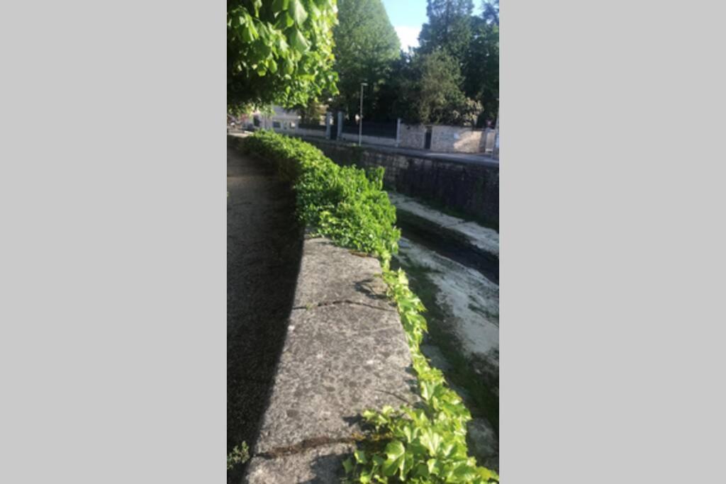 le nid de Mymy photo 3